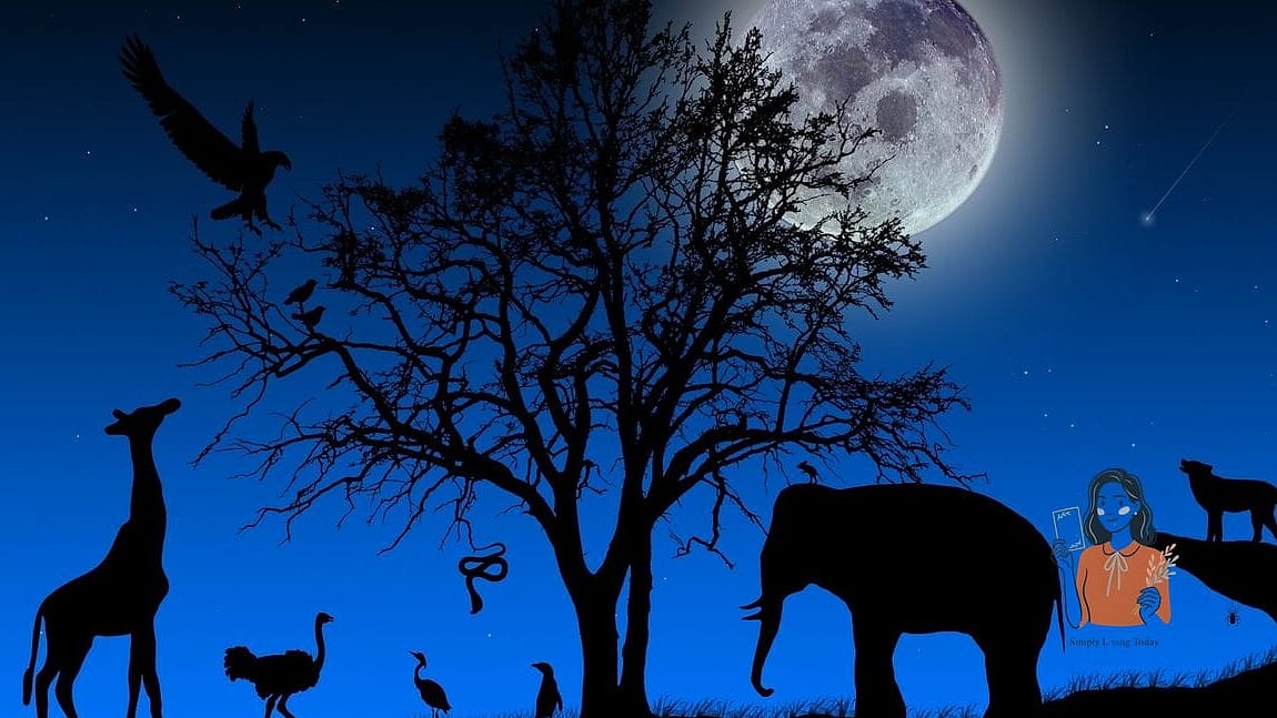 Animal Silhouette Painting