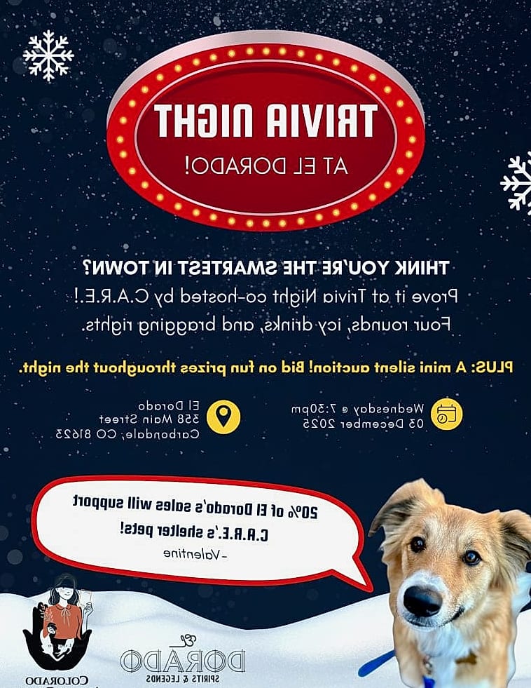 Animal Trivia Adventure