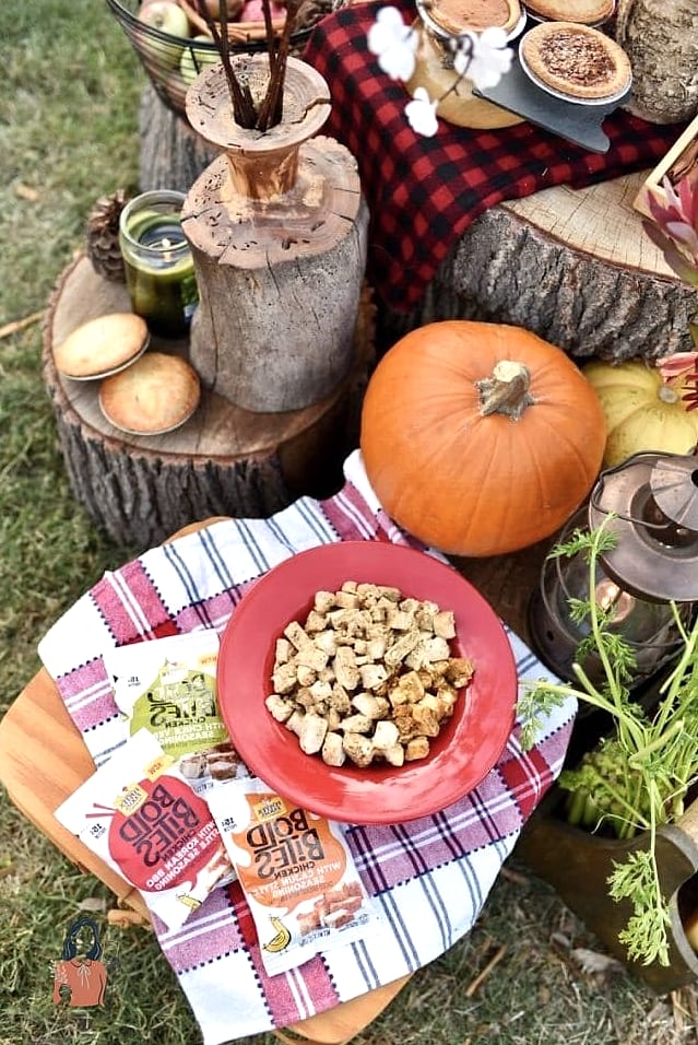 27 Adorable Fall Party Ideas That Are Absolutely Perfect 21 Fall Picnic Party