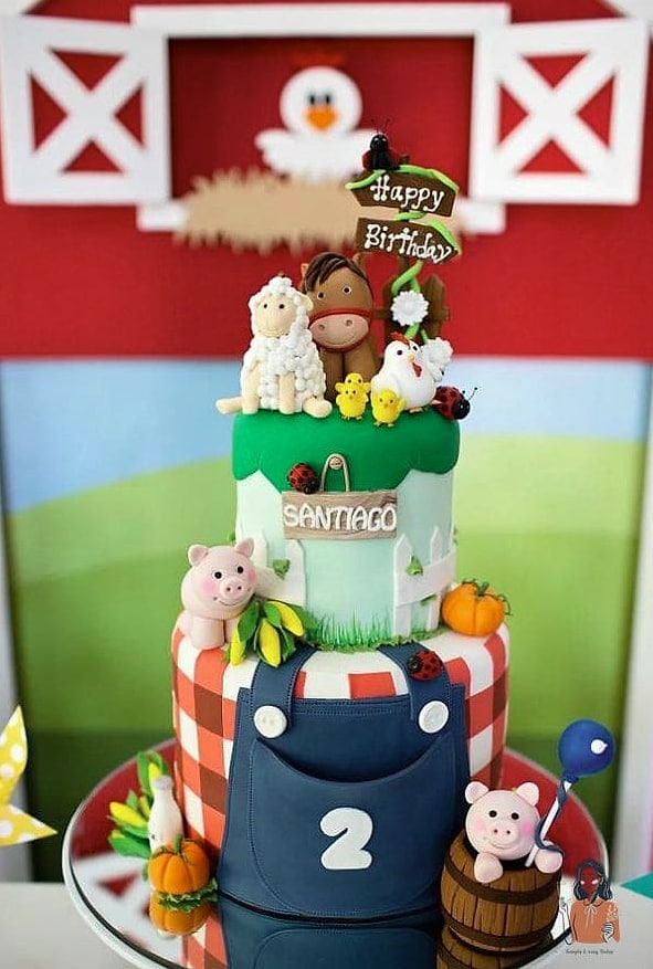 Farm To Table Animal Party