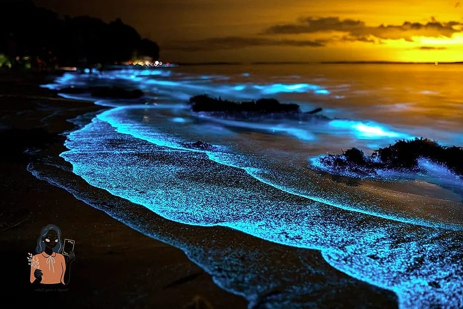 21 Unforgettable Summer Theme Party That Are Absolutely Perfect 18 Glow-in-the-Dark Party