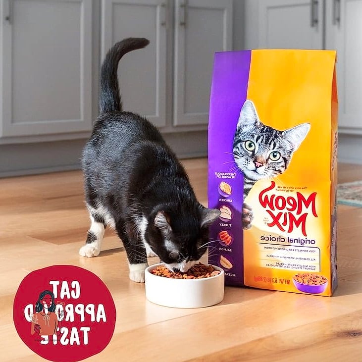 29 Adorable Cat Themed Birthday Party That Are Totally Pinterest-Worthy 18 Meow Mix Candy Bar