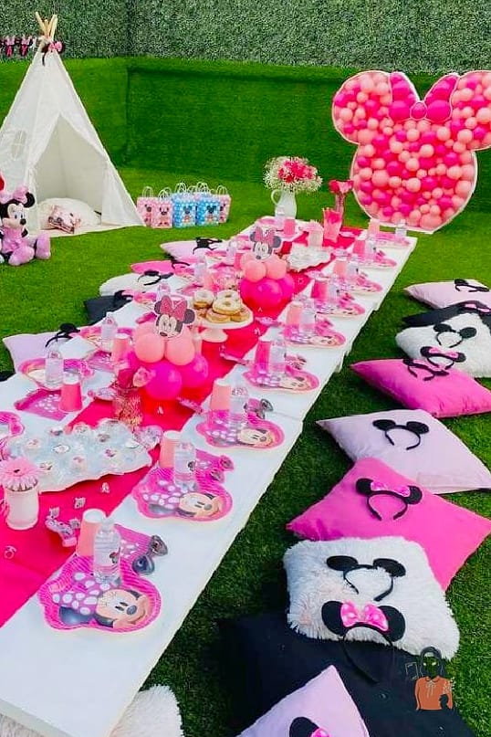 22 Unique Minnie Mouse Birthday Party Ideas That Are Absolutely Perfect 12 Minnie Mouse Birthday Picnic