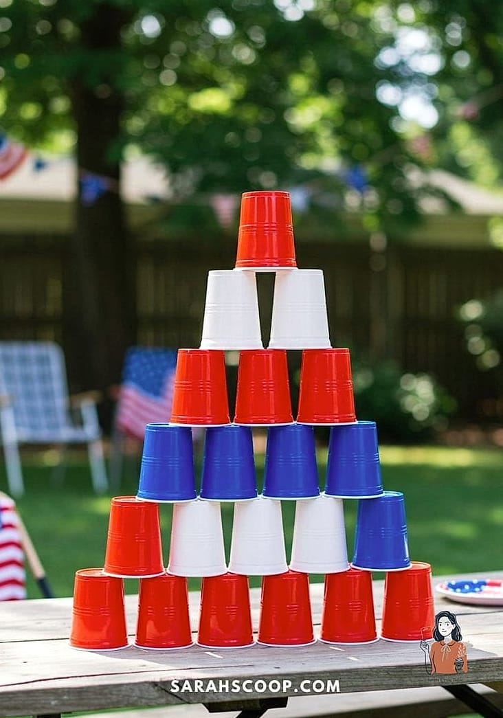 Plastic Cup Pong