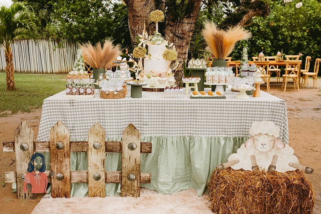 Rustic Farmhouse Party