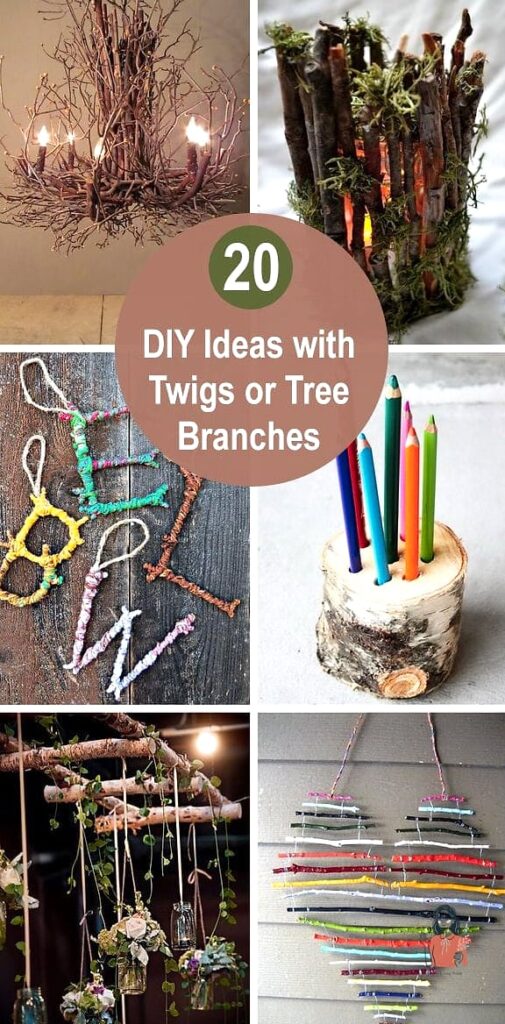 26 Exciting Brain Games For Dogs That Will Keep Everyone Entertained 1 featured 3781