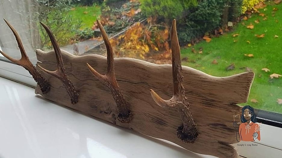 Antler-Style Hook Rack