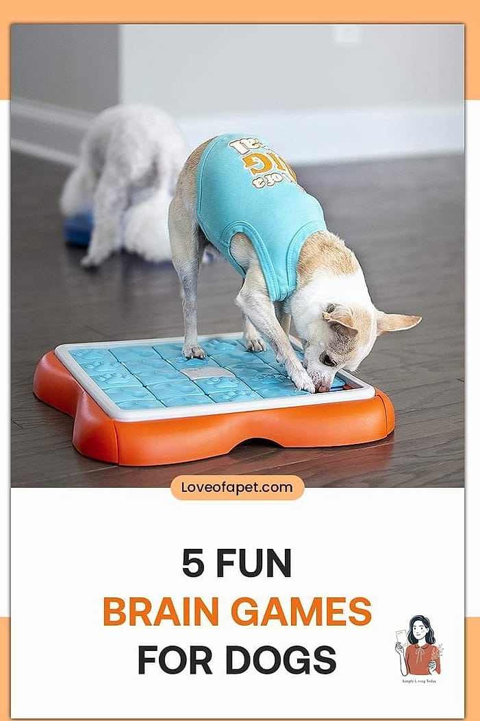 26 Exciting Brain Games For Dogs That Will Keep Everyone Entertained 27 Backyard Sprinkler Treasure Hunt