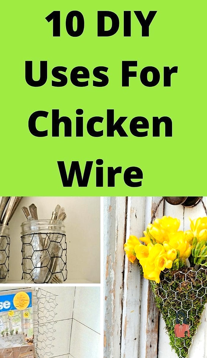 Chicken Wire and Wood Frame Shelf