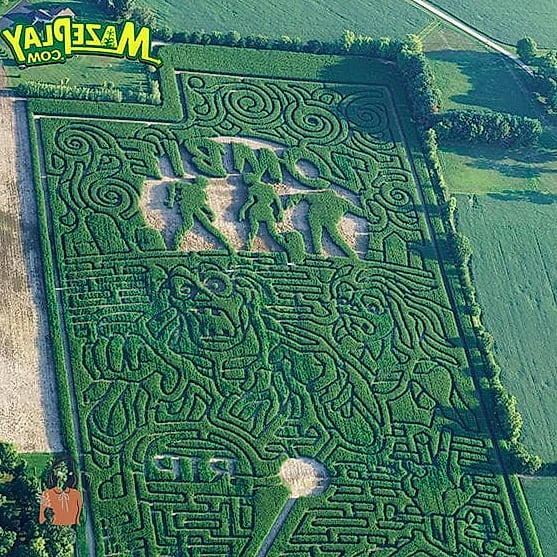 Corn Maze Scavenger Hunt