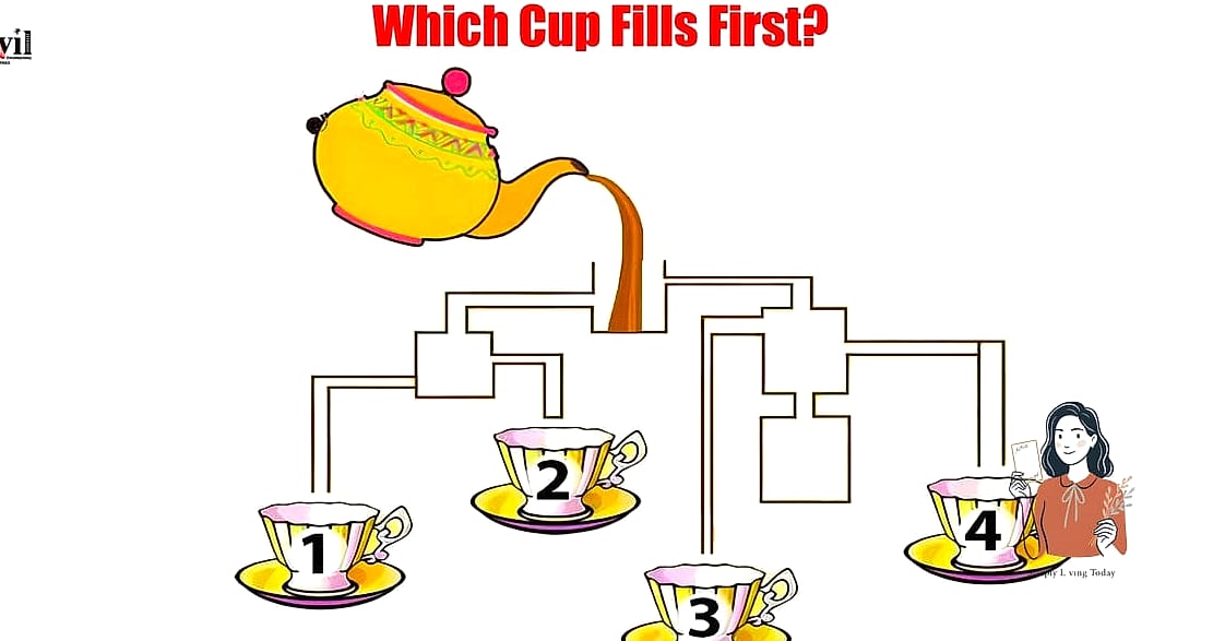 26 Exciting Brain Games For Dogs That Will Keep Everyone Entertained 5 Cup Shell Game
