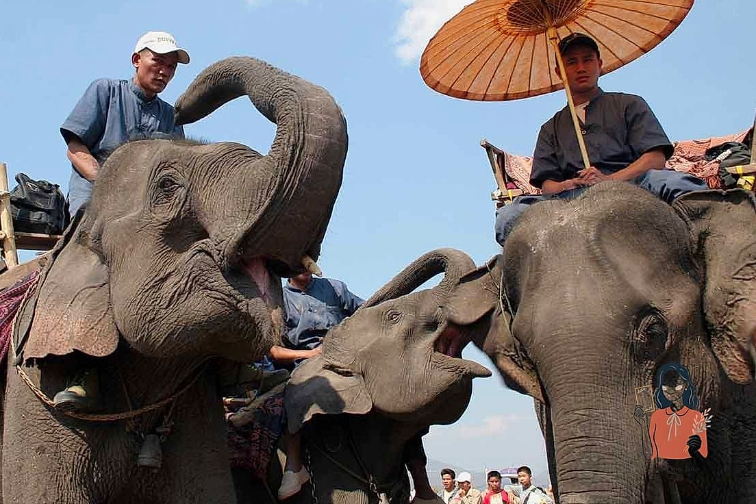 20 Crowd-pleasing Minute To Win It Games Everyone Will Love 8 Elephant March