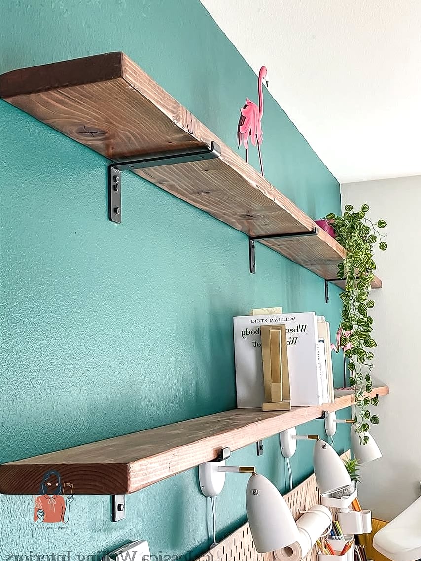Floating Shelf Shoe Ledges