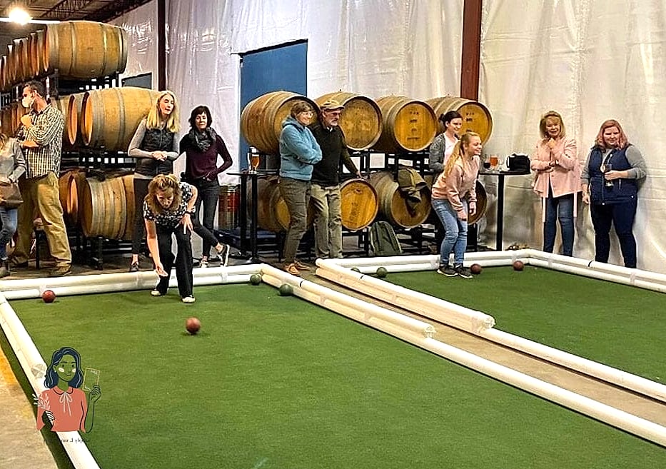 22 Creative Party Games For Seniors Worth Stealing Right Now 19 Indoor Bocce