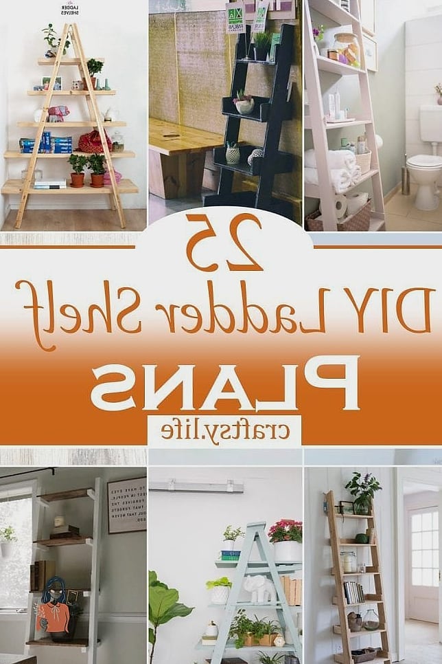 Ladder Shelf Shoe Display