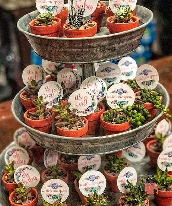 21 Unforgettable Baby Shower Prizes For Games That Are Totally Pinterest-Worthy 5 Mini Succulents or Potted Plants