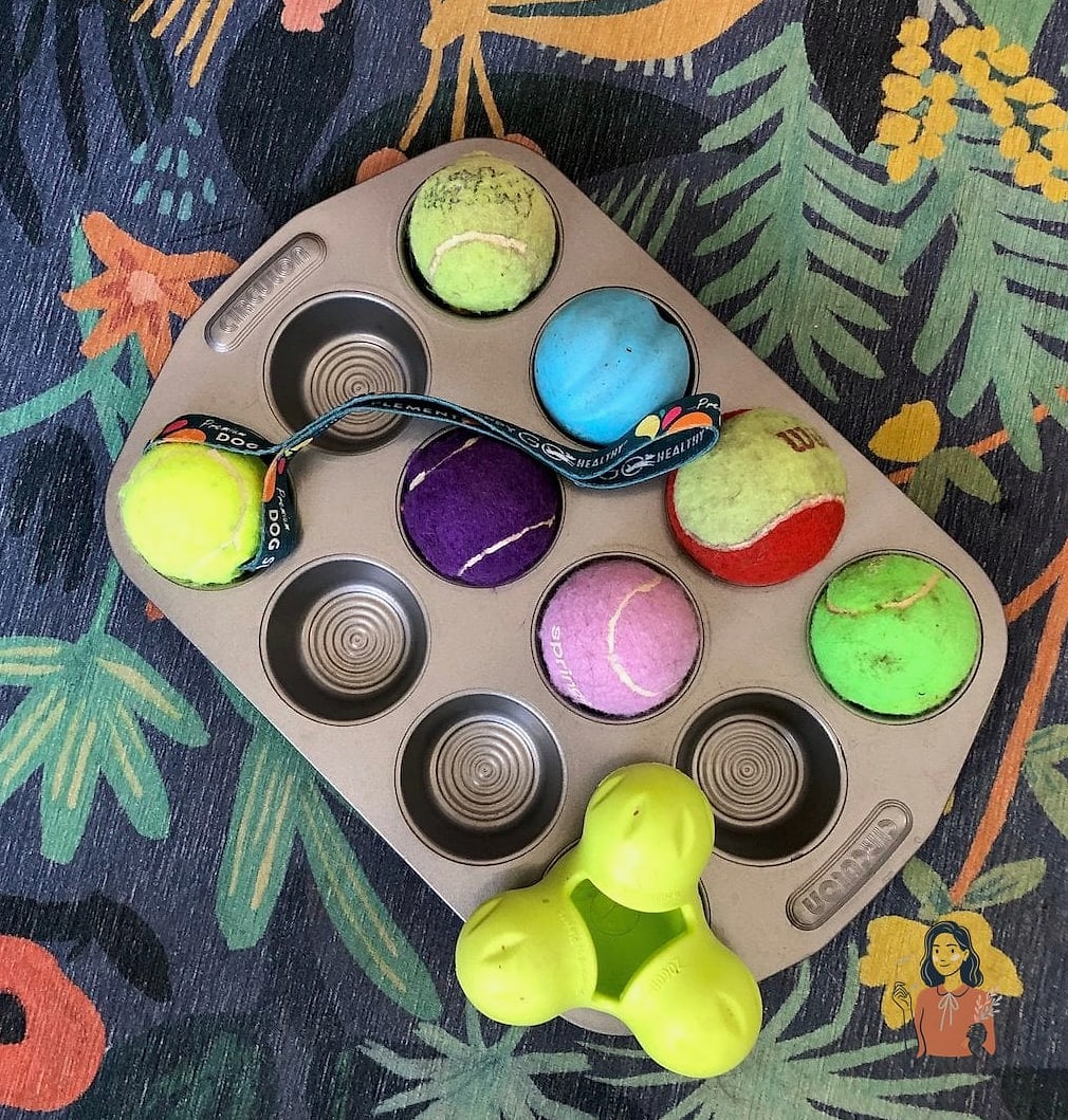 26 Exciting Brain Games For Dogs That Will Keep Everyone Entertained 2 Muffin Tin Puzzle