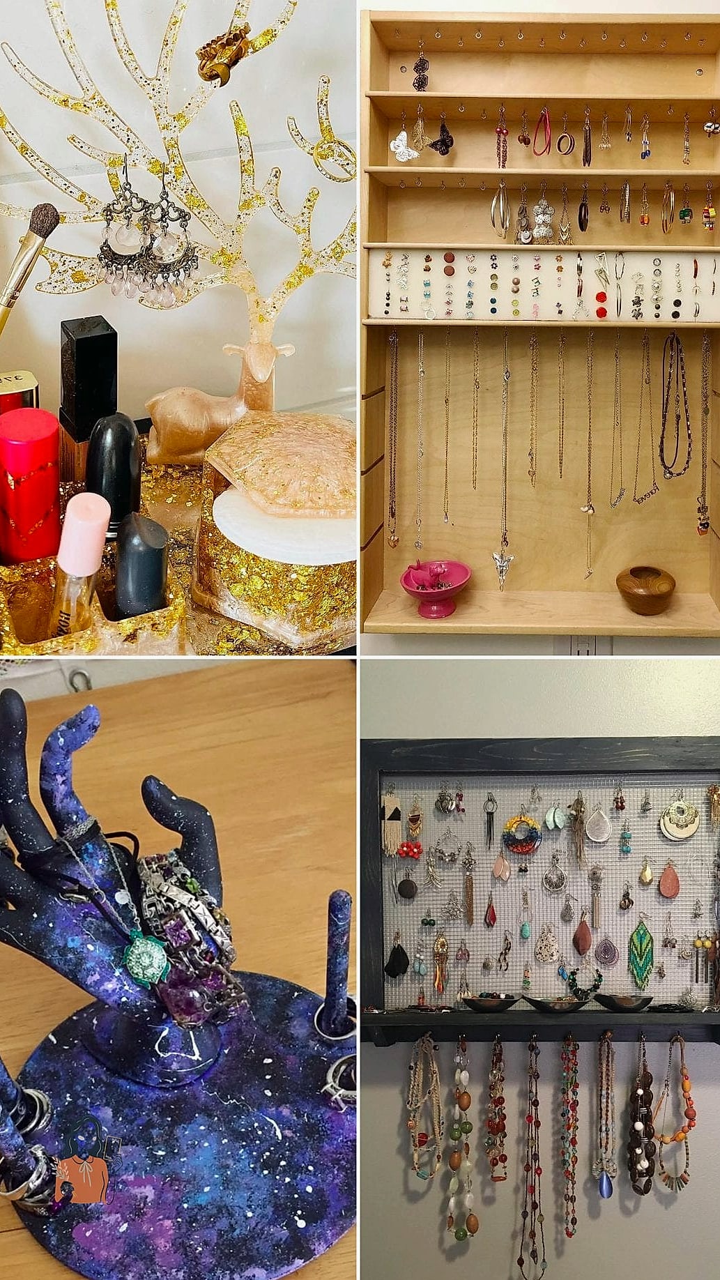 Spice Rack Jewelry Shelf