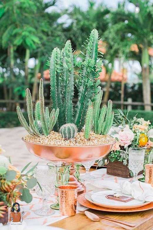 Succulent and Cactus Arrangements