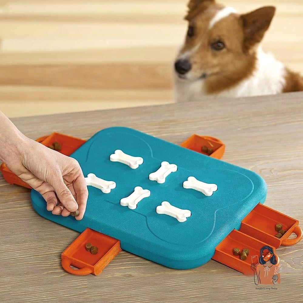 26 Exciting Brain Games For Dogs That Will Keep Everyone Entertained 24 Treat-Dispensing Puzzle Balls